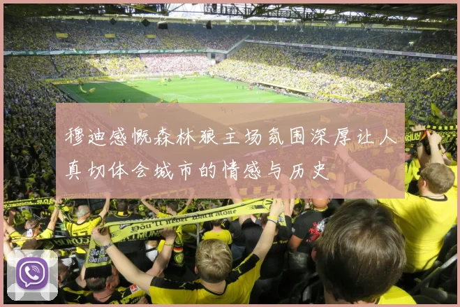 穆迪感慨森林狼主场氛围深厚让人真切体会城市的情感与历史