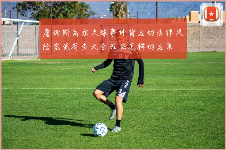 詹姆斯高尔夫球事件背后的法律风险究竟有多大会面临怎样的后果